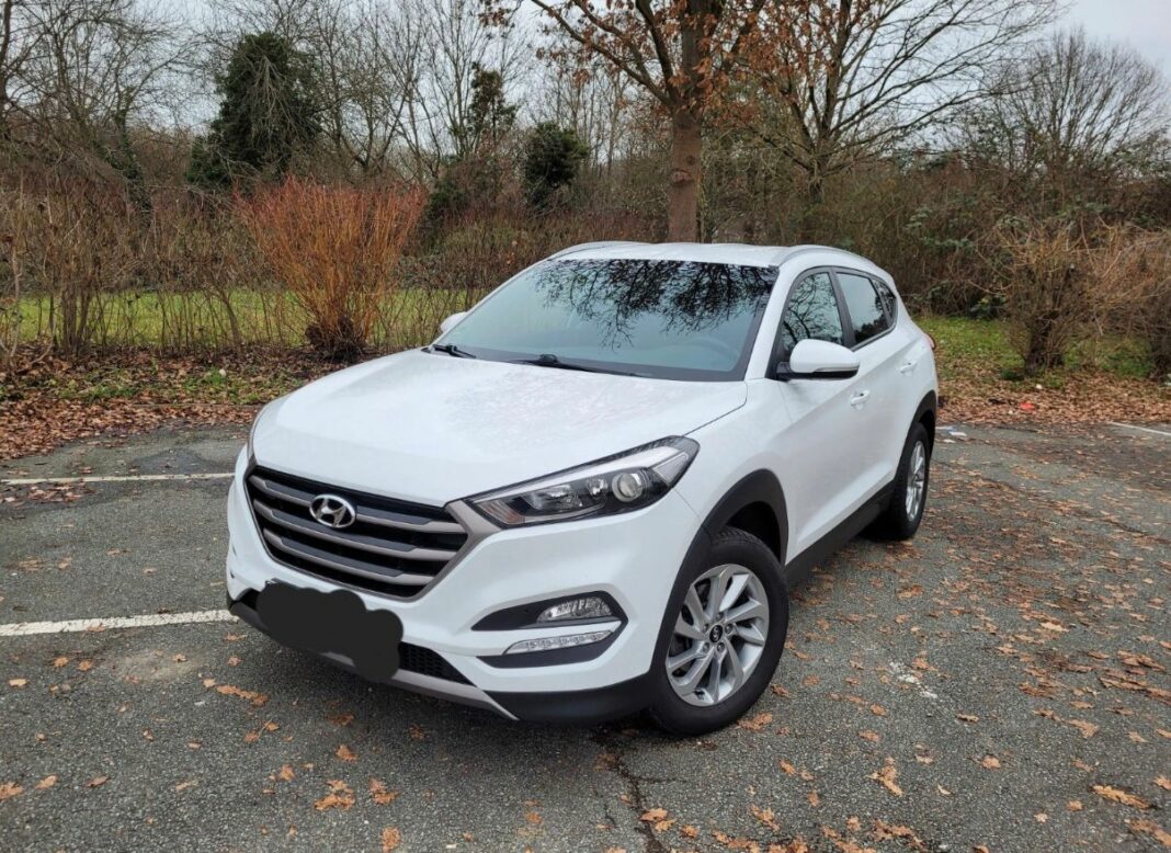 WhatsApp-Image-2025-01-09-at-23.13.48-4-1